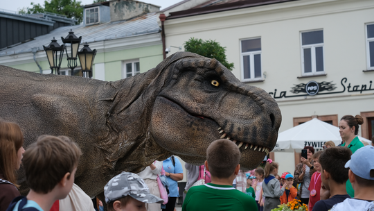 Dzień Sportu w Chełmie. Były nawet dinozaury... [GALERIA ZDJĘĆ]