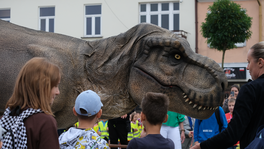 Dzień Sportu w Chełmie. Były nawet dinozaury... [GALERIA ZDJĘĆ]