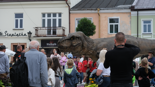 Dzień Sportu w Chełmie. Były nawet dinozaury... [GALERIA ZDJĘĆ]
