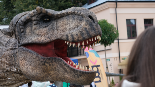 Dzień Sportu w Chełmie. Były nawet dinozaury... [GALERIA ZDJĘĆ]