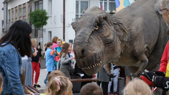 Dzień Sportu w Chełmie. Były nawet dinozaury... [GALERIA ZDJĘĆ]