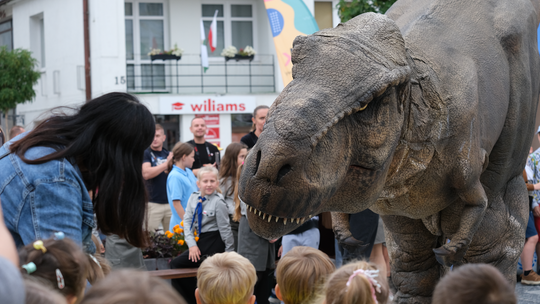 Dzień Sportu w Chełmie. Były nawet dinozaury... [GALERIA ZDJĘĆ]