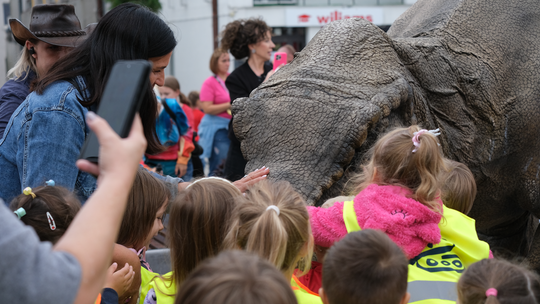 Dzień Sportu w Chełmie. Były nawet dinozaury... [GALERIA ZDJĘĆ]