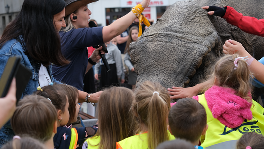 Dzień Sportu w Chełmie. Były nawet dinozaury... [GALERIA ZDJĘĆ]