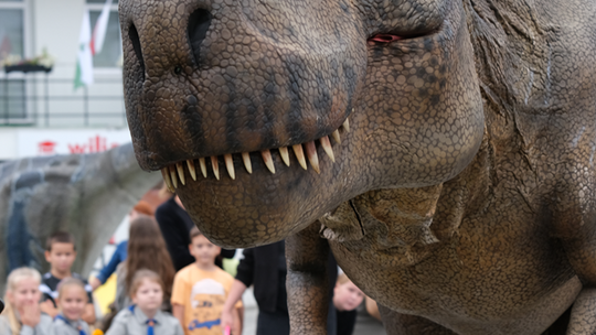 Dzień Sportu w Chełmie. Były nawet dinozaury... [GALERIA ZDJĘĆ]