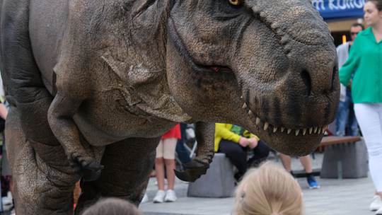Dzień Sportu w Chełmie. Były nawet dinozaury... [GALERIA ZDJĘĆ]