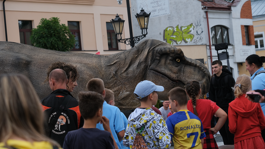 Dzień Sportu w Chełmie. Były nawet dinozaury... [GALERIA ZDJĘĆ]