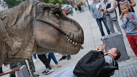 Dzień Sportu w Chełmie. Były nawet dinozaury... [GALERIA ZDJĘĆ]