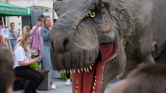 Dzień Sportu w Chełmie. Były nawet dinozaury... [GALERIA ZDJĘĆ]