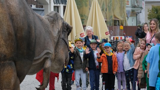 Dzień Sportu w Chełmie. Były nawet dinozaury... [GALERIA ZDJĘĆ]