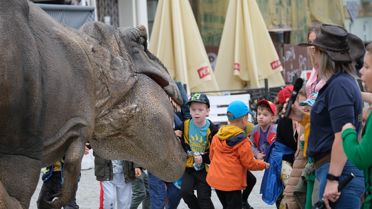 Dzień Sportu w Chełmie. Były nawet dinozaury... [GALERIA ZDJĘĆ]