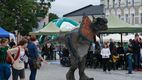 Dzień Sportu w Chełmie. Były nawet dinozaury... [GALERIA ZDJĘĆ]