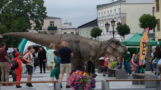 Dzień Sportu w Chełmie. Były nawet dinozaury... [GALERIA ZDJĘĆ]
