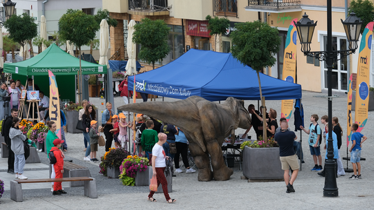 Dzień Sportu w Chełmie. Były nawet dinozaury... [GALERIA ZDJĘĆ]