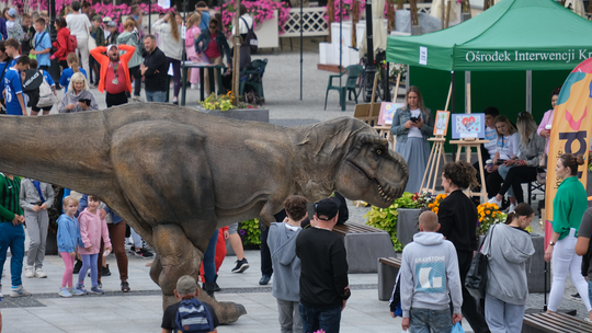 Dzień Sportu w Chełmie. Były nawet dinozaury... [GALERIA ZDJĘĆ]