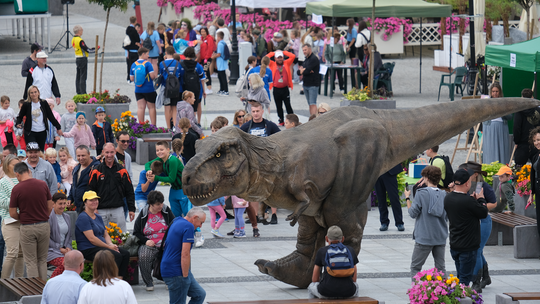 Dzień Sportu w Chełmie. Były nawet dinozaury... [GALERIA ZDJĘĆ]