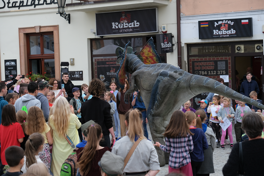 Dzień Sportu w Chełmie. Były nawet dinozaury... [GALERIA ZDJĘĆ]