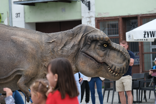 Dzień Sportu w Chełmie. Były nawet dinozaury... [GALERIA ZDJĘĆ]