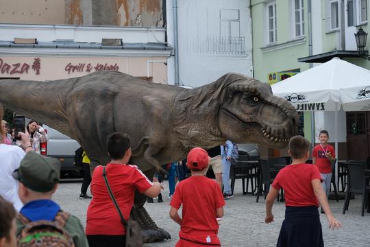 Dzień Sportu w Chełmie. Były nawet dinozaury... [GALERIA ZDJĘĆ]