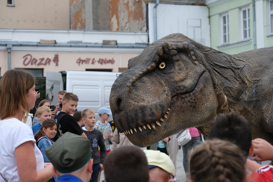 Dzień Sportu w Chełmie. Były nawet dinozaury... [GALERIA ZDJĘĆ]
