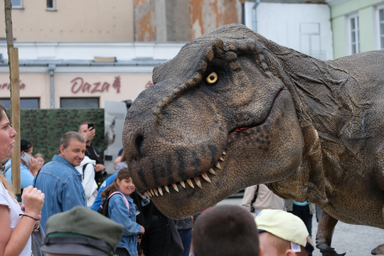 Dzień Sportu w Chełmie. Były nawet dinozaury... [GALERIA ZDJĘĆ]