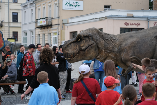 Dzień Sportu w Chełmie. Były nawet dinozaury... [GALERIA ZDJĘĆ]