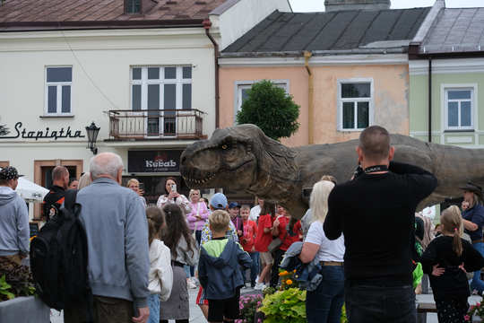 Dzień Sportu w Chełmie. Były nawet dinozaury... [GALERIA ZDJĘĆ]