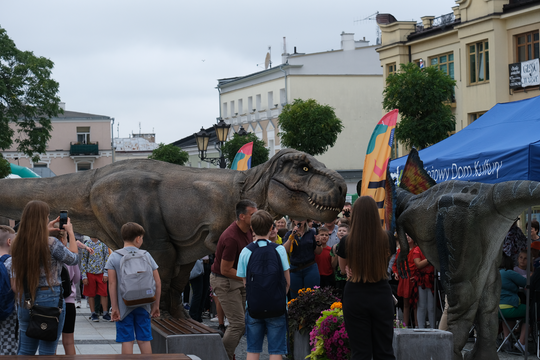 Dzień Sportu w Chełmie. Były nawet dinozaury... [GALERIA ZDJĘĆ]