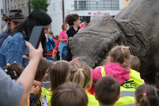 Dzień Sportu w Chełmie. Były nawet dinozaury... [GALERIA ZDJĘĆ]