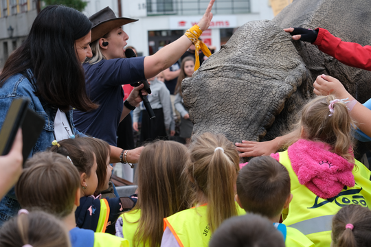 Dzień Sportu w Chełmie. Były nawet dinozaury... [GALERIA ZDJĘĆ]