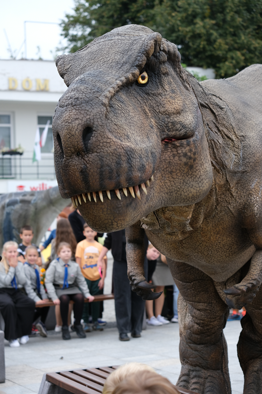 Dzień Sportu w Chełmie. Były nawet dinozaury... [GALERIA ZDJĘĆ]
