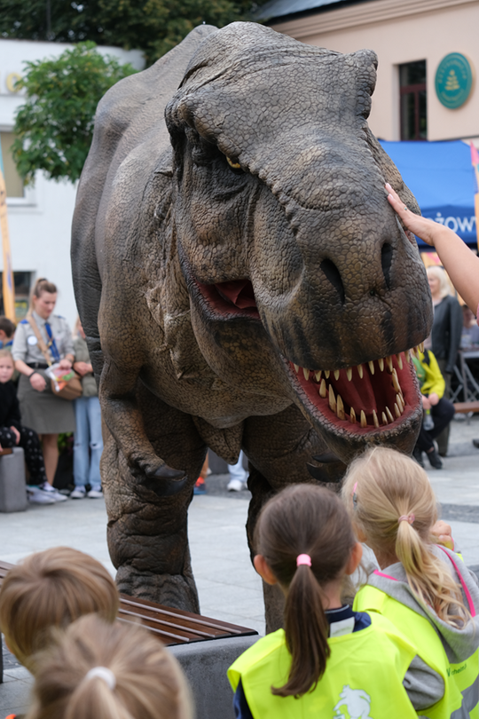 Dzień Sportu w Chełmie. Były nawet dinozaury... [GALERIA ZDJĘĆ]