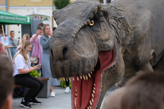 Dzień Sportu w Chełmie. Były nawet dinozaury... [GALERIA ZDJĘĆ]