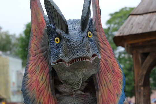 Dzień Sportu w Chełmie. Były nawet dinozaury... [GALERIA ZDJĘĆ]