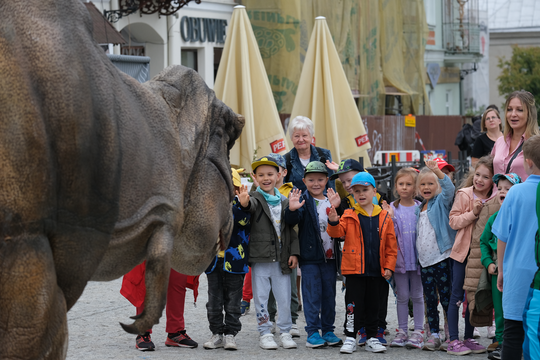 Dzień Sportu w Chełmie. Były nawet dinozaury... [GALERIA ZDJĘĆ]