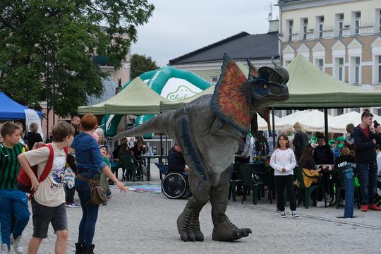 Dzień Sportu w Chełmie. Były nawet dinozaury... [GALERIA ZDJĘĆ]