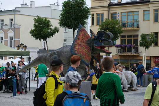 Dzień Sportu w Chełmie. Były nawet dinozaury... [GALERIA ZDJĘĆ]