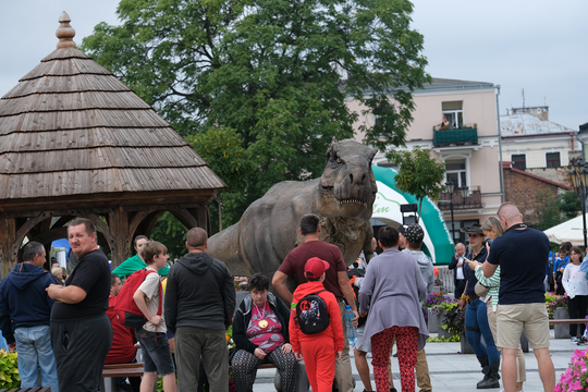 Dzień Sportu w Chełmie. Były nawet dinozaury... [GALERIA ZDJĘĆ]