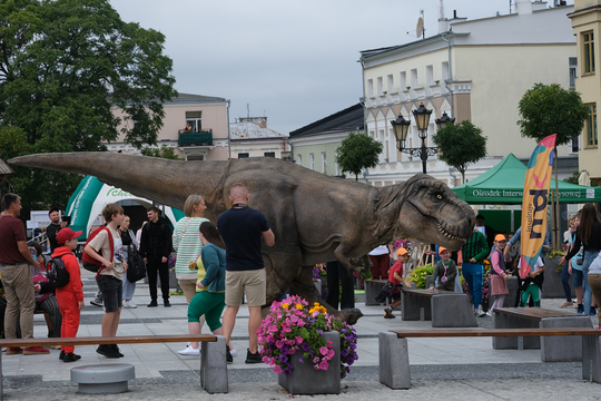 Dzień Sportu w Chełmie. Były nawet dinozaury... [GALERIA ZDJĘĆ]
