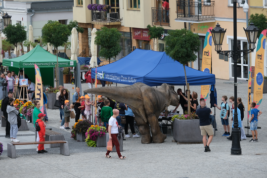 Dzień Sportu w Chełmie. Były nawet dinozaury... [GALERIA ZDJĘĆ]