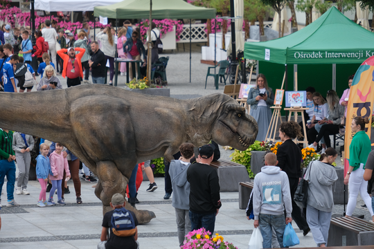 Dzień Sportu w Chełmie. Były nawet dinozaury... [GALERIA ZDJĘĆ]