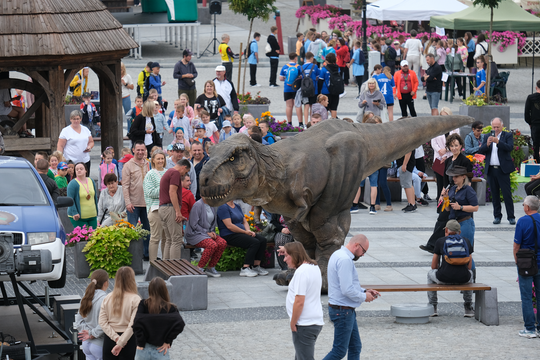 Dzień Sportu w Chełmie. Były nawet dinozaury... [GALERIA ZDJĘĆ]