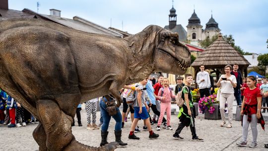 Chełm. Przeżyjmy to jeszcze raz: spotkanie z dinozaurami! [ZDJĘCIA]