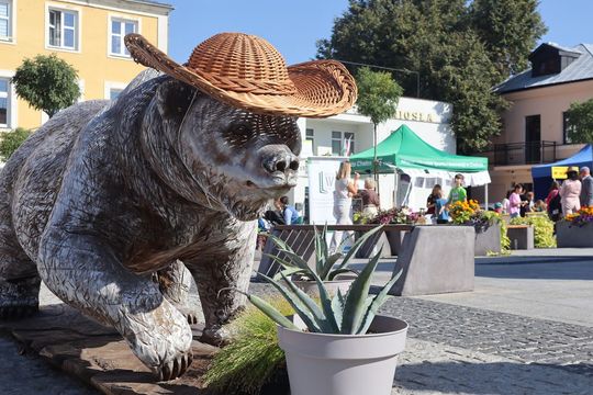 Chełm. Finał akcji sprzątania świata. Eko piknik na Placu Łuczkowskiego [ZDJĘCIA]