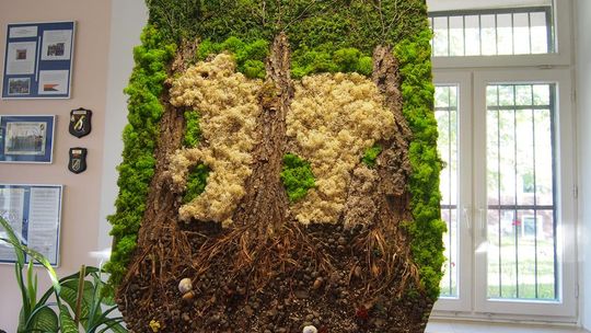 Chełm. Święto Drzewa Zespole Szkół Budowlanych i Geodezyjnych [GALERIA ZDJĘĆ]