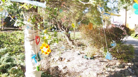 Chełm. Święto Drzewa Zespole Szkół Budowlanych i Geodezyjnych [GALERIA ZDJĘĆ]