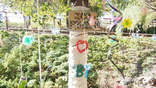 Chełm. Święto Drzewa Zespole Szkół Budowlanych i Geodezyjnych [GALERIA ZDJĘĆ]