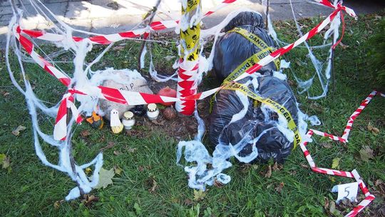 Chełm. Święto Drzewa Zespole Szkół Budowlanych i Geodezyjnych [GALERIA ZDJĘĆ]