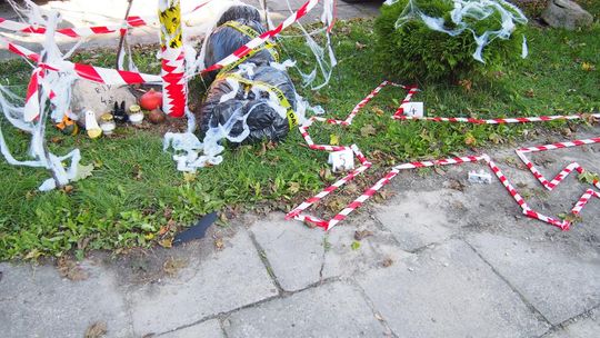 Chełm. Święto Drzewa Zespole Szkół Budowlanych i Geodezyjnych [GALERIA ZDJĘĆ]