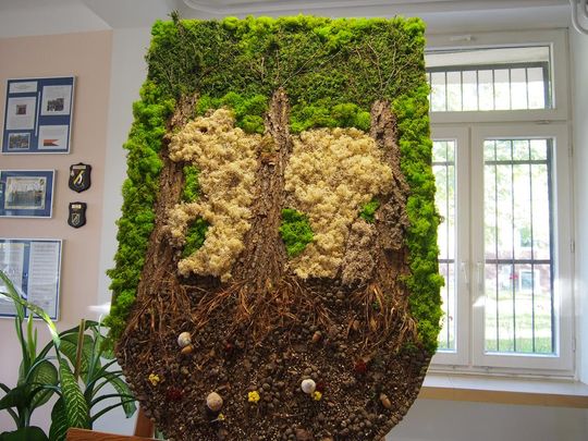 Chełm. Święto Drzewa Zespole Szkół Budowlanych i Geodezyjnych [GALERIA ZDJĘĆ]